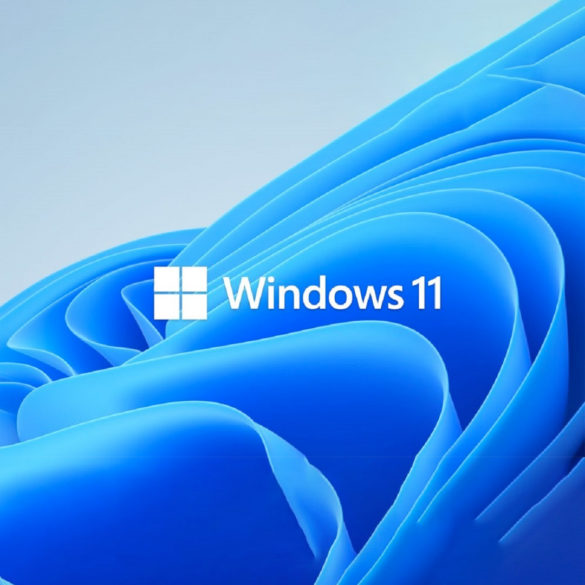 sorpresas windows 11