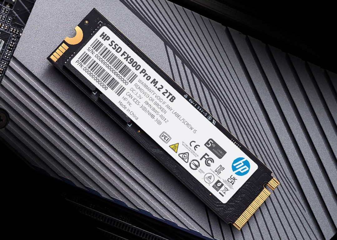 BIWIN SSD FX900 Pro