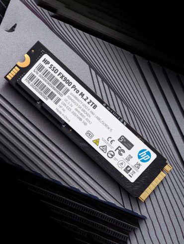 BIWIN SSD FX900 Pro