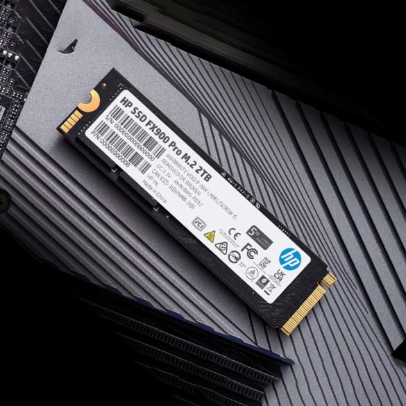 BIWIN SSD FX900 Pro