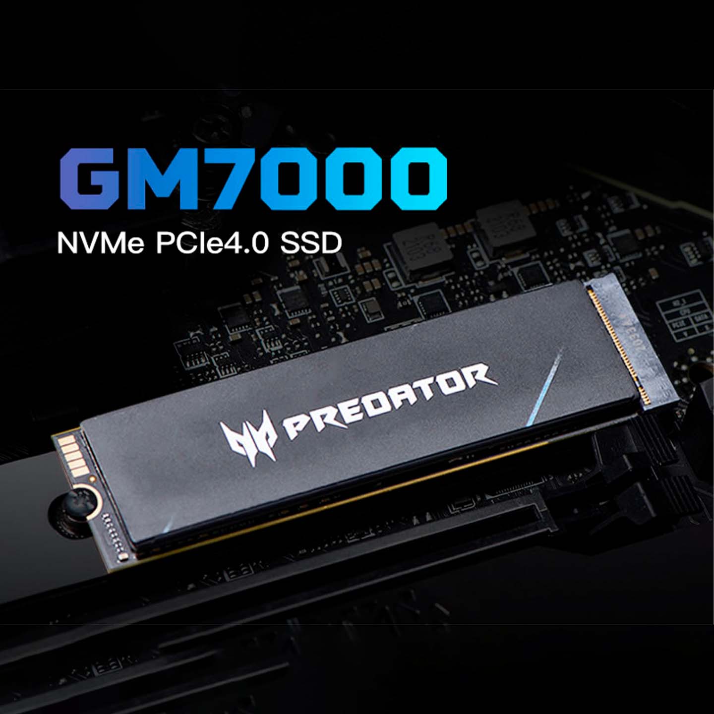 SSD Predator GM7000