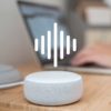 Voice hacking
