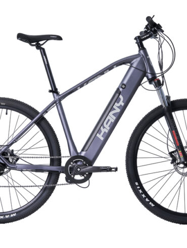 e-Mountain Bike
