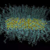 nanocristales